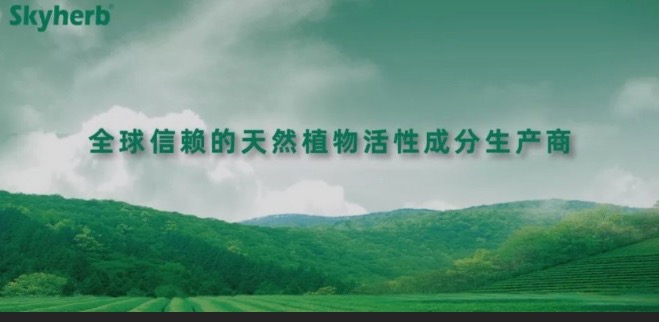 多年不懈努力，终获官方青睐！