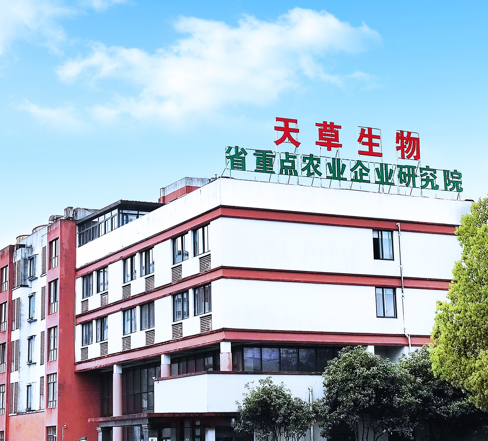 企业简介