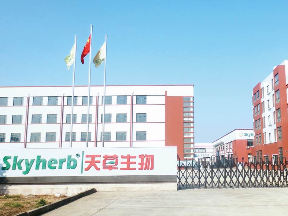 工厂正门